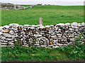 D1550 : Drystone wall, Rathlin Island by Rossographer