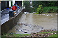 Bridge just coping with flood.