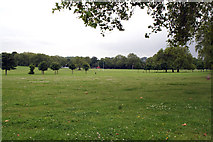 TQ3475 : Peckham Rye Common by Dr Neil Clifton