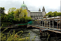 M2925 : Galway - River Corrib Walk - Weir, Bridge, Cathedral by Joseph Mischyshyn