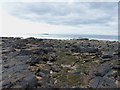 NO6106 : Shoreline rocks off West Ness by Richard Law