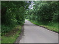NU2411 : Minor road towards Lesbury by JThomas