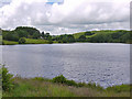 View north up Llyn Frongoch