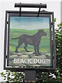 The Black Dog on Ings Lane