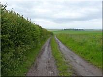 NO5002 : A farm track near Balbuthie by Richard Law