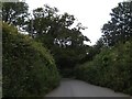 A small copse near Copper Tree Cross