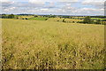 SP3936 : Farmland near Tadmarton by Philip Halling