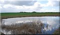 TQ8278 : Pond, Dagnam Saltings by N Chadwick