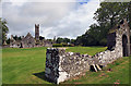 R4746 : Adare Friary (2) by Mike Searle