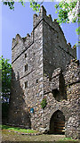 T0314 : Castles of Leinster: Rathmacknee, Wexford (3) by Mike Searle
