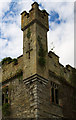 W4754 : Castles of Munster: Castle Bernard, Cork (detail) (2) by Mike Searle