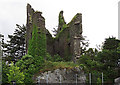 R6157 : Castles of Munster: Newcastle Clanwilliam, Limerick by Mike Searle