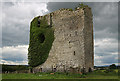 S2135 : Castles of Munster: Cramps, Tipperary by Mike Searle