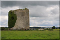 S2135 : Castles of Munster: Cramps, Tipperary (2) by Mike Searle