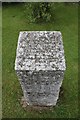 SU6293 : Top of the stone by Bill Nicholls