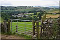 Gate and stile above Wilton Dean