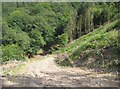 A muddy, Steep footpath