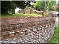 Churchyard wall, Colaton Raleigh