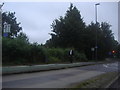 End of bus lane along Southgate Avenue