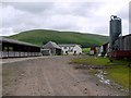 Farmyard, Cocklawfoot