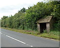 Shabby bus shelter near Dobson