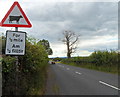 Watch out for cows in the road ahead, Old Raglan Road