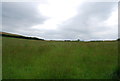 Meadow near Waterslade