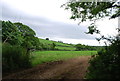 Field entrance near Pruston Barton