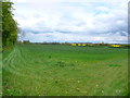 SP3866 : Field near River Itchen by Nigel Mykura
