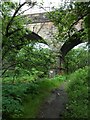 Railway bridge over the Luggie Water