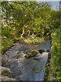 Chew Brook at Greenfield