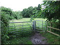 Gate And Kissing Gate