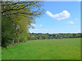 Pasture Fields Near Bokers Farm