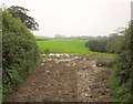 Muddy field entrance, Poulston