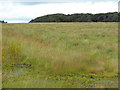 Farmland off Flamborough Road