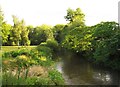 River Stour near Worcester Road, Stourport-on-Severn