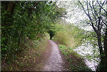 TQ0110 : Monarch's Way by the River Arun by N Chadwick
