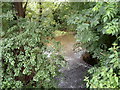 Ffrwd Brook near its confluence with the River Usk