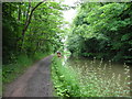 The Grand Union Canal