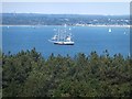 The Solent seen over the woods of Hamstead Cliff