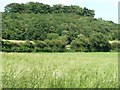 Farmland on the north side of Carr Lane