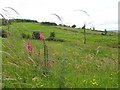 Crillys Hill Townland