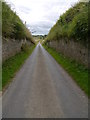 Sunken Lane Near Green Riggs