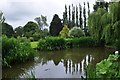 Tiverton : Westexe Rec - Duck Pond