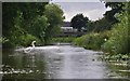 Tiverton : The Grand Western Canal