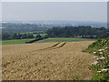 Fields near Pen-y-lan