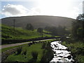 Hareden Brook, west of Hareden Farm