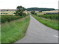 The lane to Clopton