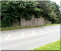 Remnant of a dismantled railway bridge, Berkeley Heath