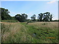 A peaceful wildlife haven on a former farm now part of Bristol Zoo